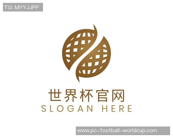 2013年C罗的辉煌时刻与传奇足迹在天下足球的精彩回顾